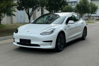 特斯拉 Model 3(进口) 2019款 标准续航后驱升级版