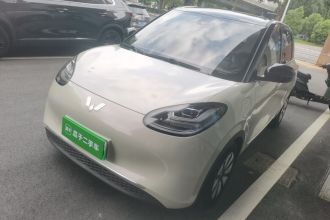 五菱汽车 五菱缤果 2023款 333km 灵犀互联+款