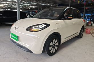 五菱汽车 五菱缤果 2025款 410km 灵犀尊享款