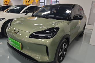 五菱汽车 五菱缤果PLUS 2024款 510km 旗舰版 四座版