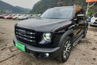 哈弗大狗 2022款 1.5T DCT两驱边牧版