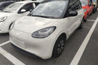 五菱汽车 五菱缤果 2023款 333km 灵犀互联款