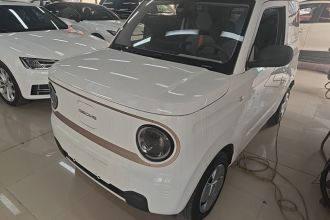 吉利银河 2024款 熊猫mini 200km 耐力熊