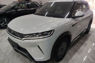 比亚迪 元UP 2024款  401KM 活力版