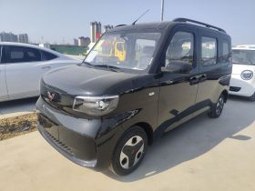 五菱汽车 五菱之光新能源 2025款 305km 进取型