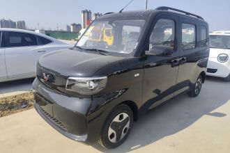五菱汽车 五菱之光新能源 2025款 305km 进取型