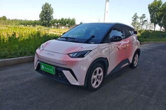 比亚迪 海鸥 2023款 飞翔版