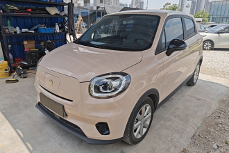 零跑汽车 零跑T03 2022款 琥珀版