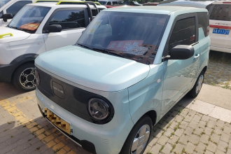 吉利银河 2024款 熊猫mini 200km 耐力熊
