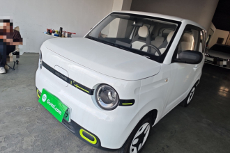 吉利银河 2025款 熊猫mini 210km 元气熊