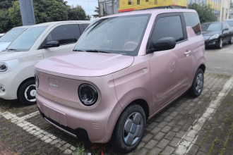 吉利银河 2023款 熊猫mini 200km 耐力熊