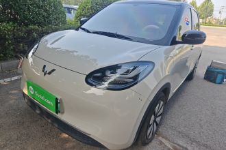 五菱汽车 五菱缤果 2024款 333km 悦享款