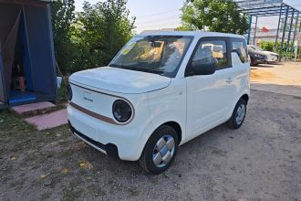 吉利银河 2024款 熊猫mini 200km 耐力熊