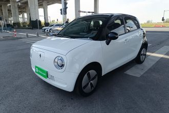 欧拉黑猫 2021款 301km 基础型