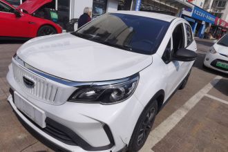 吉利几何 EX3 功夫牛 2021款 坚强牛牛