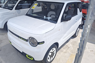 吉利银河 2025款 熊猫mini 210km 元气熊