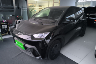 比亚迪 海鸥 2025款 305km 活力版