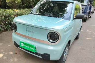 吉利银河 2024款 熊猫mini 200km 耐力熊