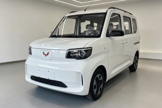 五菱汽车 五菱之光新能源 2025款 305km 进取型