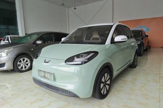 五菱汽车 五菱缤果 2023款 410km 灵犀尊享款
