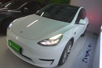 特斯拉 Model Y 2024款 后轮驱动版