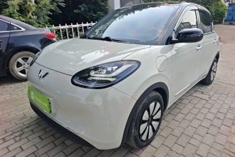 五菱汽车 五菱缤果 2024款 333km 悦享款