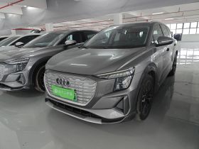 奥迪Q5 e-tron 2023款 40 e-tron 星耀型 机甲套装