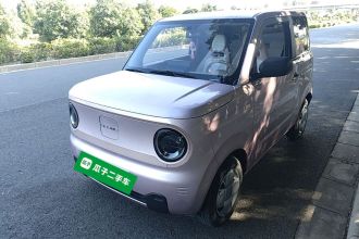 吉利银河 2024款 熊猫mini 200km 耐力熊