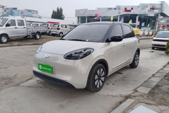 五菱汽车 五菱缤果 2024款 333km 悦享款