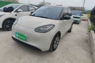 五菱汽车 五菱缤果 2023款 333km 灵犀互联款