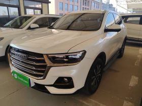 哈弗H6 2021款 国潮版 1.5T 自动都市版