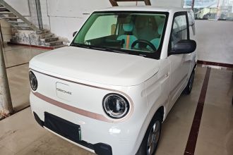 吉利银河 2023款 熊猫mini 200km 耐力熊