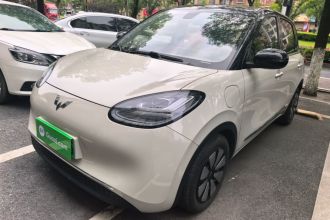五菱汽车 五菱缤果 2023款 410km 灵犀尊享款