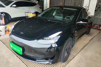 特斯拉 Model 3 2020款 标准续航后驱升级版
