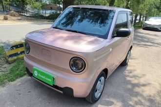 吉利银河 2024款 熊猫mini 200km 耐力熊