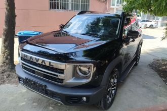 哈弗大狗 2024款 1.5T DCT边牧版
