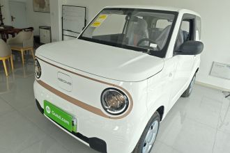 吉利银河 2024款 熊猫mini 200km 耐力熊