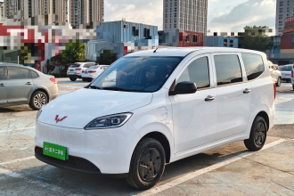 五菱汽车 五菱宏光新能源 2024款 纯电版 300KM 实用型