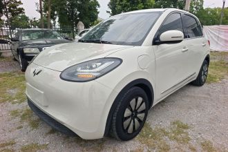 五菱汽车 五菱缤果 2023款 333km 悦享+款