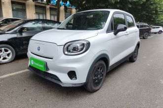 零跑汽车 零跑T03 2023款 310轻享版