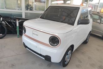 吉利银河 2024款 熊猫mini 200km 耐力熊