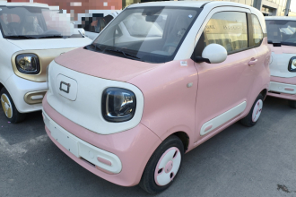 奔腾小马 2024款 170km 元气马