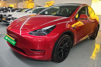 特斯拉 Model Y 2022款 改款 长续航全轮驱动版