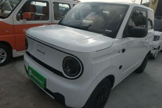 吉利银河 2023款 熊猫mini 200km 耐力熊
