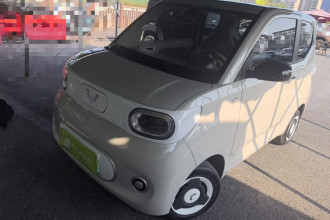 五菱汽车 宏光MINIEV 2024款 第三代 215km 青春版