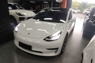 特斯拉 Model 3(进口) 2019款 标准续航后驱升级版(52度)