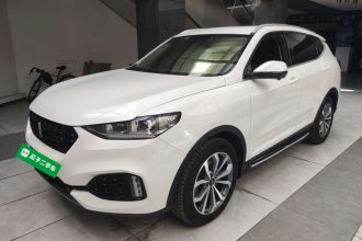 魏牌 VV6 2019款 2.0T 两驱超豪型 国VI