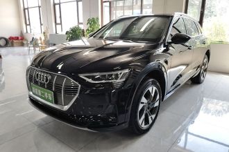 奥迪e-tron(进口) 2019款 55 quattro 技术型