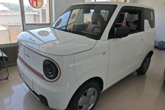 吉利银河 2024款 熊猫mini 200km 耐力熊