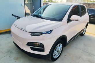 大运 悦虎 2023款 300 标准版